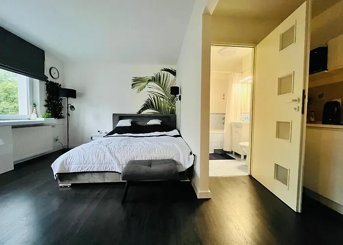 Apartament Panska 5