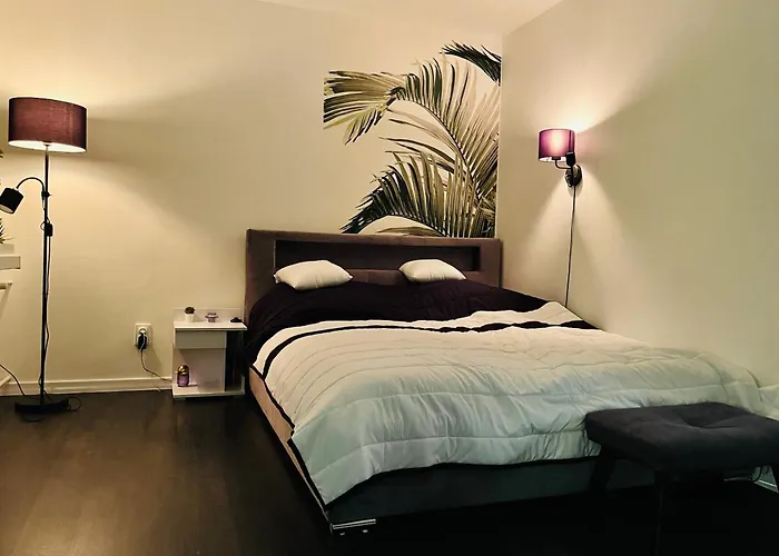 Apartament Panska 5